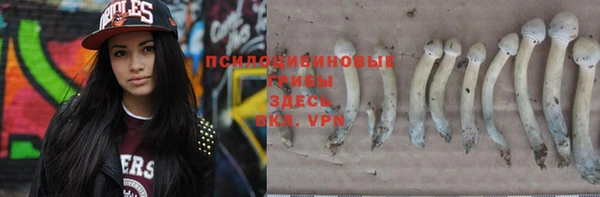 гидропоника Аркадак