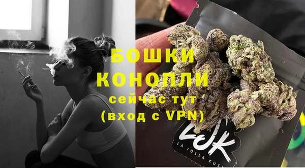 стаф Заволжск