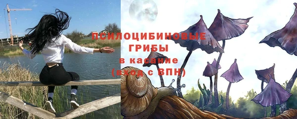гашик Армянск