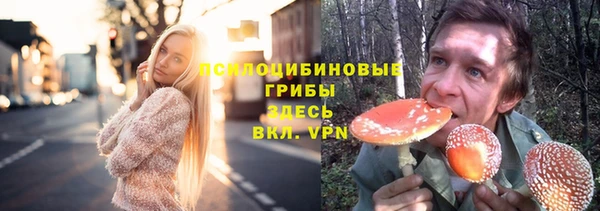 apvp Арсеньев