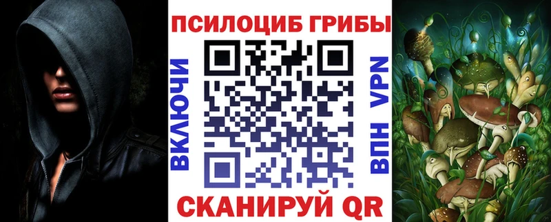 где купить наркотик Певек Псилоцибиновые грибы мицелий